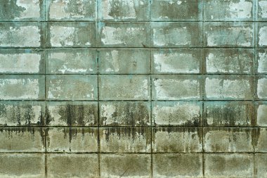 eski yeşil blok duvar textuer