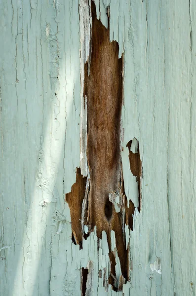 Cariës zoals termieten eten — Stockfoto