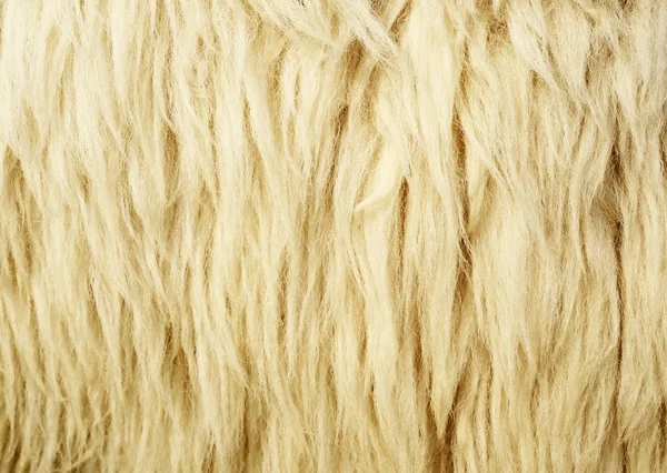 羊毛质地 — 图库照片