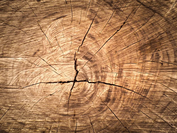 Textura de madeira cortada — Fotografia de Stock
