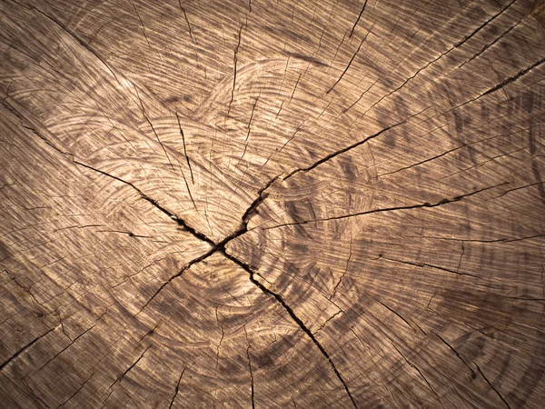 Textúra a régi barna vágott fa — Stock Fotó