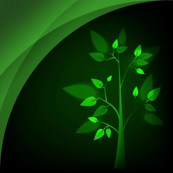 Eco concept : arbre vert avec des feuilles brillantes sous fond sombre Images De Stock Libres De Droits