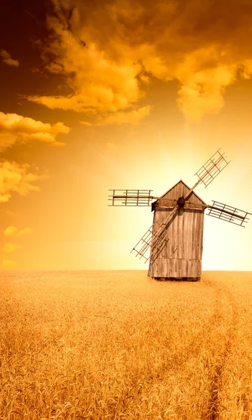 Ukraiński tradycyjny wiatrak i pole dojrzałej pszenicy na lato — Zdjęcie stockowe