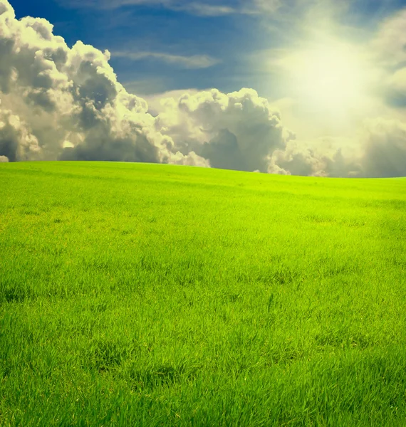 Hermoso paisaje con campo verde y puesta de sol mágica Imágenes de stock libres de derechos