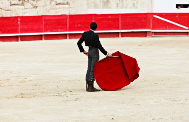 Bullfighting in the nîmes arena