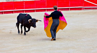 Bullfighting in the nîmes arena clipart