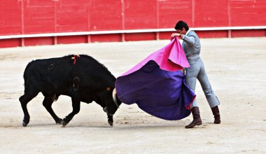 Bullfighting in the nîmes arena