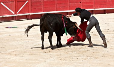 Bullfighting in the nîmes arena