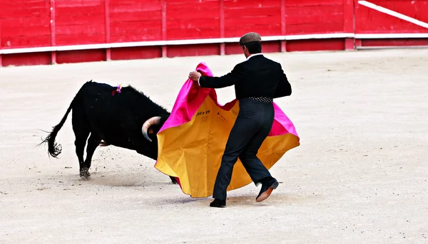 Bullfighting in the nîmes arena — Stock fotografie