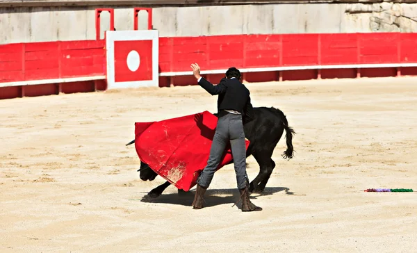 Bullfighting in the nîmes arena — Φωτογραφία Αρχείου