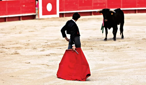 Bullfighting in the nîmes arena — Stock Photo, Image