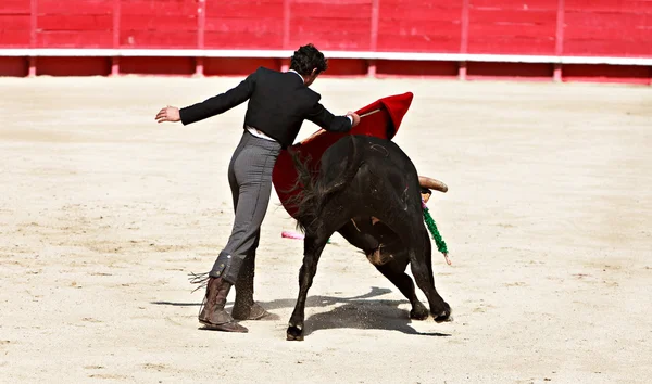 Stierkampf in der Arena von Nîmes — Stockfoto