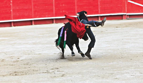 Las corridas de toros en la arena de las montañas — Foto de Stock