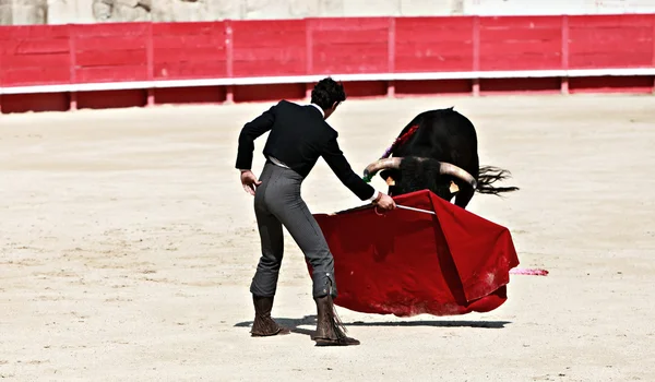 Bullfighting in the nîmes arena — Stock fotografie