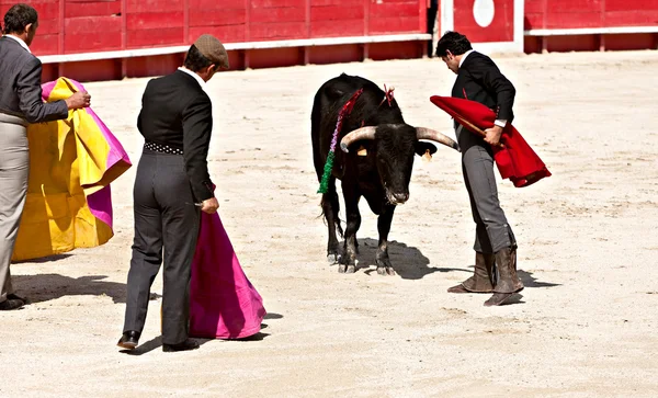 Bullfighting in the nîmes arena — Stock Fotó