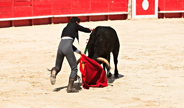 Bullfighting in the nîmes arena — Stock Photo, Image