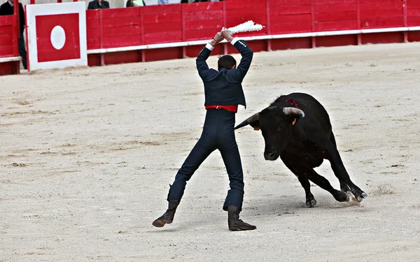 Bullfighting in the nîmes arena — 图库照片