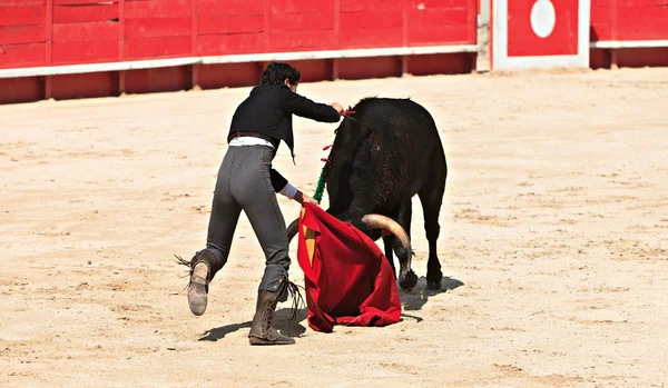 Bullfighting in the nîmes arena — Zdjęcie stockowe