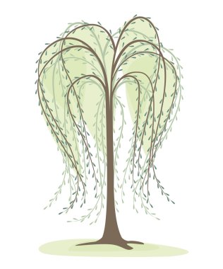 Willow clipart