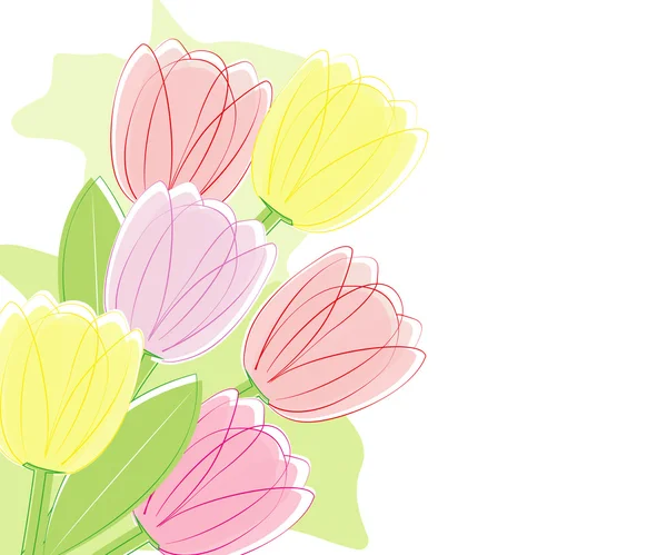 Tulip bouquet — Stock Vector