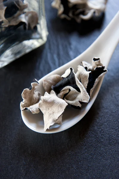 Китайський чорний гриби — стокове фото