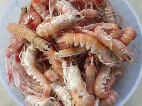 Scampi in the pot — Stock Photo, Image
