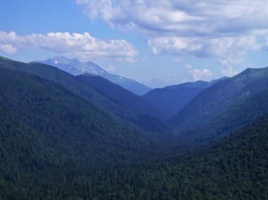 Vahşi dağ Caucasus