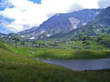 Vahşi dağ Caucasus