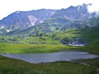 Vahşi dağ Caucasus