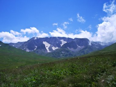 Vahşi dağ Caucasus