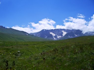 Vahşi dağ Caucasus