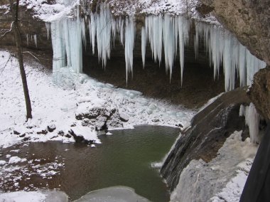 Vahşi dağ Caucasus