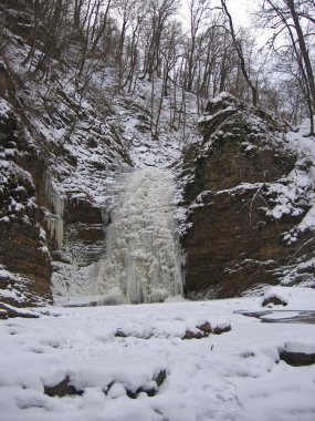 Vahşi dağ Caucasus