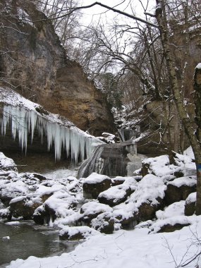 Vahşi dağ Caucasus