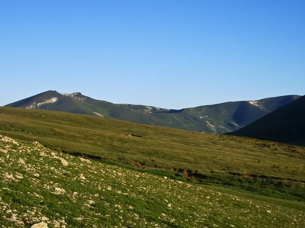 Montagna selvaggia Caucaso — Foto Stock