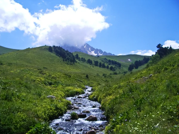 Dziki góra Caucasus — Zdjęcie stockowe