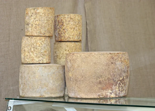 Matured Cheeses. — Stock Photo, Image