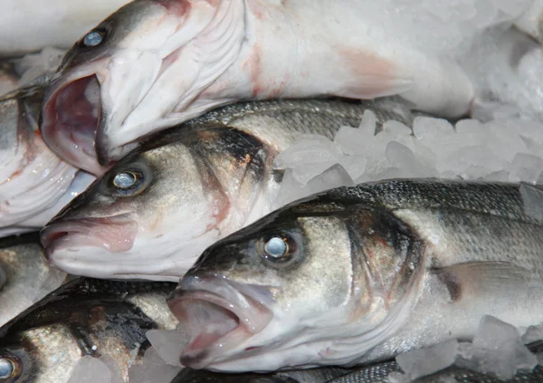 Fishmongers levha. — Stok fotoğraf