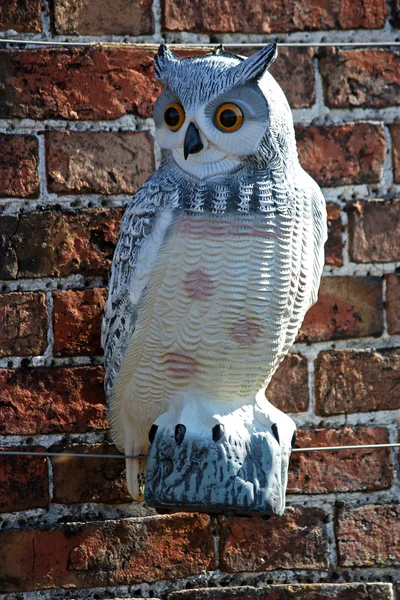 Ornamental Owl. — Stock Photo, Image