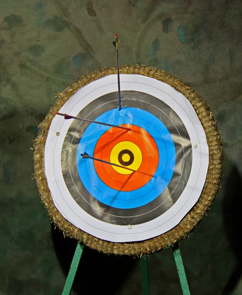 stock image Archery Target.