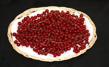 Kırmızı lake redcurrants.