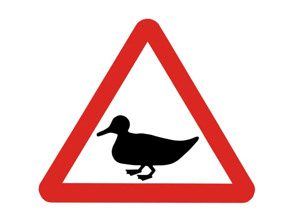 Warning Sign for Ducks. — Stock Photo, Image