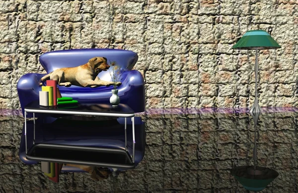 Perro en un sofá en el hotel — Foto de Stock