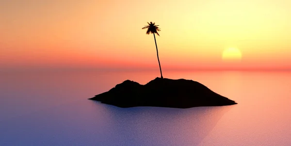 Kokosová palma na ostrově při západu slunce — Stock fotografie