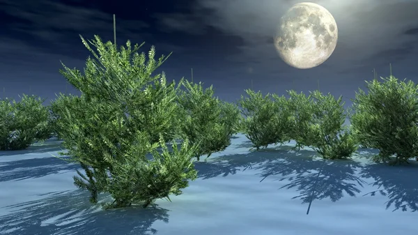 Ay ışığı altında Noel ağaçları — Stok fotoğraf