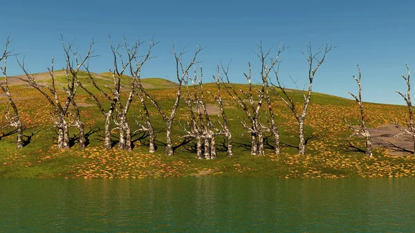 Alberi morti sulla riva del lago — Foto Stock