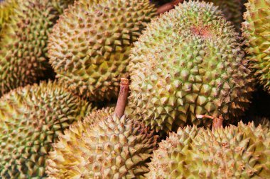 Durians at market clipart