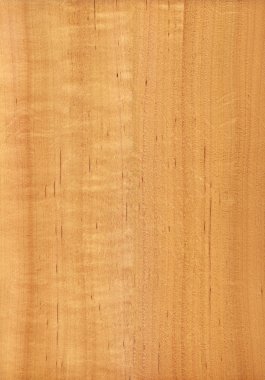 Alder (wood texture) clipart