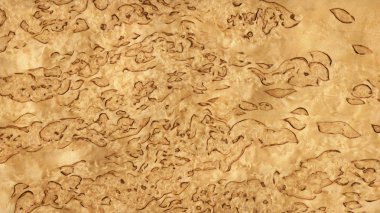 Karelian birch (wood texture) clipart