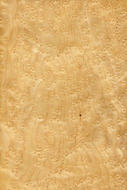 Maple bird's eye (wood texture) clipart